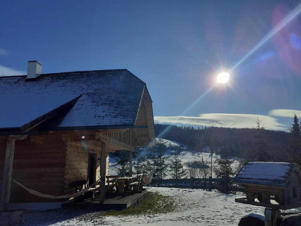 Pichelhuette Villa Murau Exteriör bild